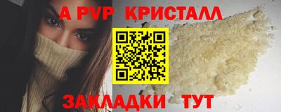 гашик Тосно