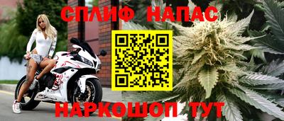 гашик Тосно
