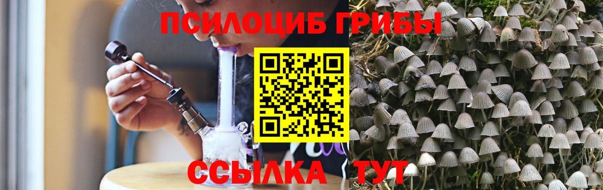 Галлюциногенные грибы Psilocybe  Вход с VPN  Асбест 