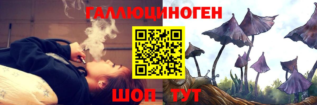 Псилоцибиновые грибы мицелий Асбест